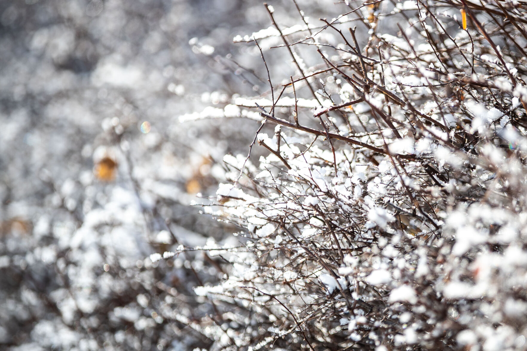 011622-owh-new-snow-LS010.JPG